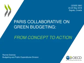 PARIS COLLABORATIVE ON GREEN BUDGETING
