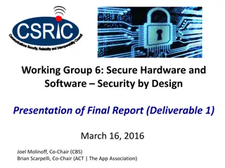 Secure Hardware and Software Security Report
