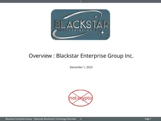 Blackstar Enterprise Group Blockchain Technology Overview