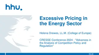 Excessive Pricing in the Energy Sector: Tackling Challenges