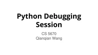 Python Debugging  Session
