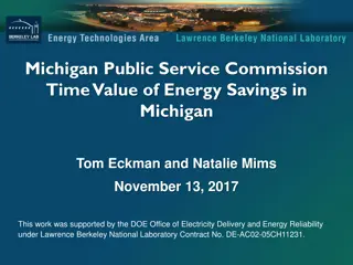 Michigan Public Service Commission Time Value of Energy Savings