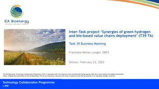 Inter-Task Project Synergies of Green Hydrogen and Bio-based Value Chains Deployment
