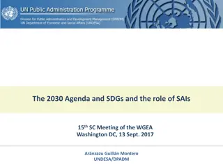 Role of SAIs in Implementing the 2030 Agenda and SDGs