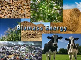 Renewable Energy Overview & Biomass Usage