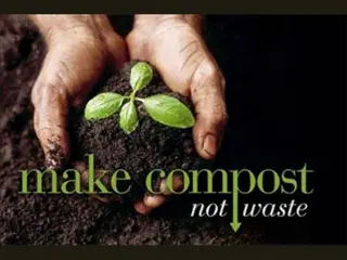 What is Composting? Turning Organic Waste into Soil