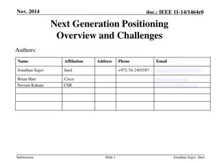 Next Generation Positioning Challenges Overview