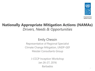 Nationally Appropriate Mitigation Actions: Drivers, Needs & Opportunities