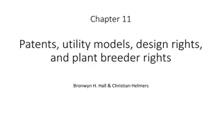Overview of Patents and Legal Rights