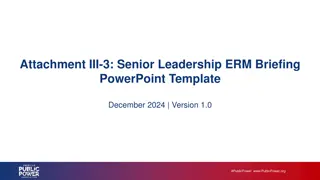 Senior Leadership ERM Briefing Template - December 2024
