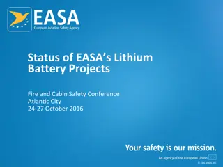 Status of EASA's Lithium Battery Projects - Fire and Cabin Safety Conference