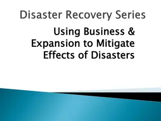 Using Business Expansion to Mitigate Effects of Disasters