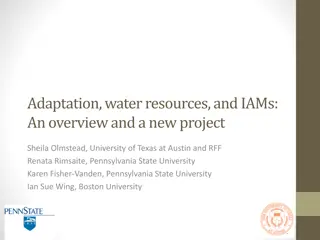 Adaptation, Water Resources, and IAMs: An Overview
