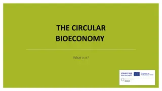 Circular Bioeconomy: Sustainable Strategies, Examples, and Impact