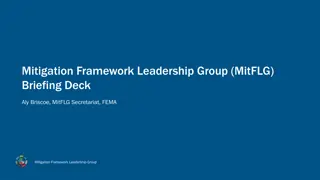 Mitigation Framework Leadership Group Overview