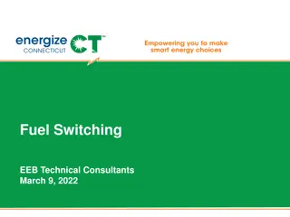 Fuel Switching and Its Implications