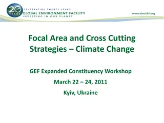 Focal Area and Cross Cutting Strategies on Climate Change Workshop