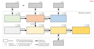 Environmental Impact of Biochar Systems