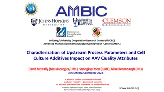 Characterization of Upstream Process Parameters in AMBIC