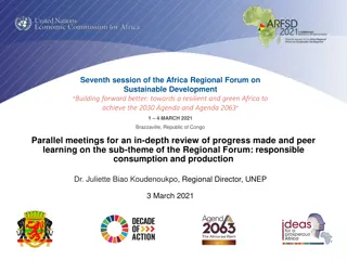 Progress on SDG 12 in Africa: Challenges and Achievements