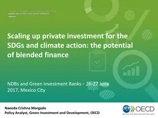 Scaling Up Private Investment for the SDGs and Climate Action