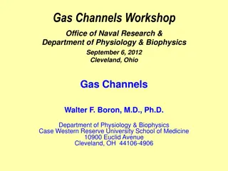 Gas Channels Workshop and Active Regulation Studies