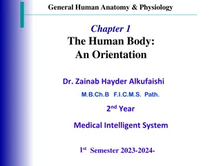 Human Body Structural Overview