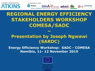 Enhancing Regional Energy Efficiency through Information Dissemination