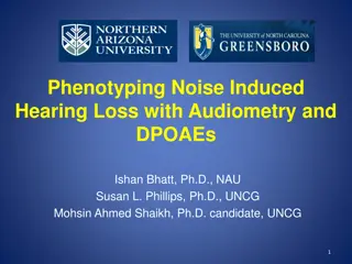 Phenotyping Noise-Induced Hearing Loss with Audiometry and DPOAEs