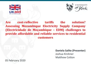 Challenges Faced by Mozambique Electricity Supply Company