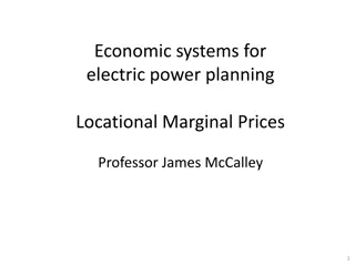 Economic Systems for Electric Power Planning: Overview of Locational Marginal Prices