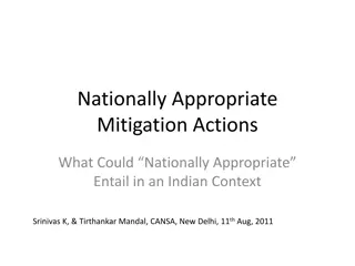 Nationally Appropriate Mitigation Actions in an Indian Context