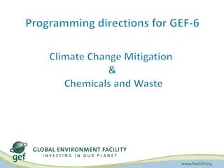 Programming Directions for GEF-6 Climate Change Mitigation