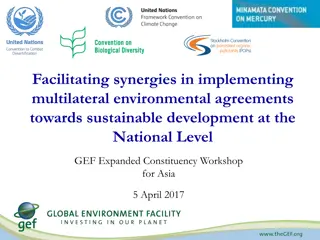 Facilitating Synergies in Implementing Multilateral Environmental Agreements