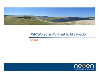 Key Factors in Solar PV Project: Neoen's Success Story