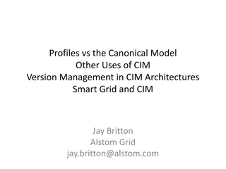 CIM Architecture and Canonical Data Model