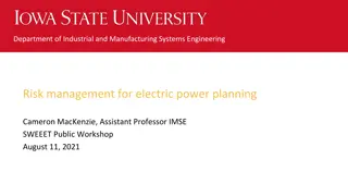 Risk Management for Electric Power Planning