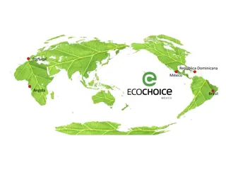 Energy Efficiency Consultancy Expanding Projects in Mexico