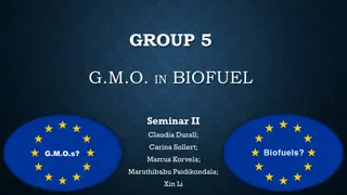 Group 5 GMO in Biofuel Seminar