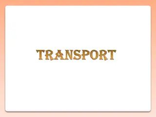 Role of Transport in Sustained Economic Growth