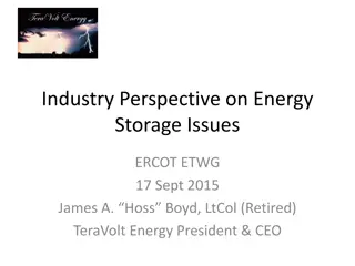 TeraVolt Energy Industry Perspective on Energy Storage Issues