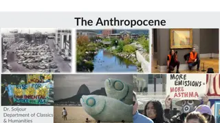 The Anthropocene