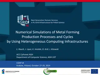 Next Generation Domain Services in PL-Grid Infrastructure for Polish Science