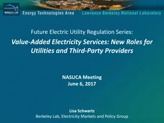 Future Electric Utility Regulation Series: Value-Added Electricity Services
