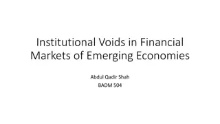 Institutional Voids in Emerging Economies' Financial Markets