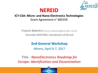 NanoElectronics Roadmap for Europe: Identification and Dissemination