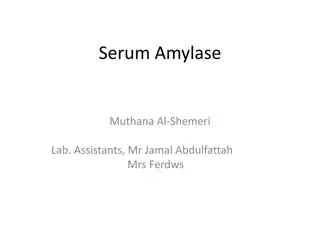 Serum Amylase: Functions, Testing & Symptoms