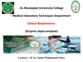 Alpha-Amylase Test and Analysis