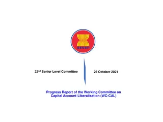 Progress Report on Capital Account Liberalisation