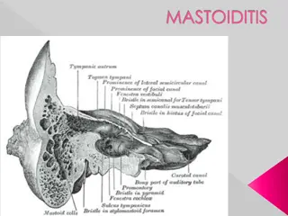 Mastoiditis: Causes, Symptoms, and Management